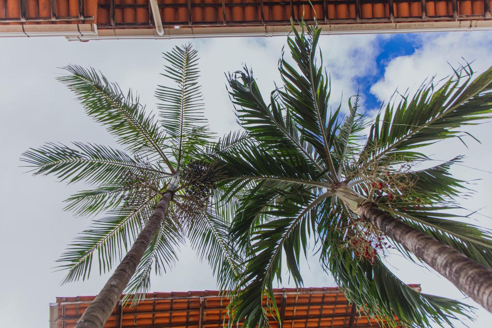 Pousada D' Areia Barreirinhas Esterno foto